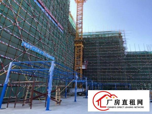  常平镇原房东高端产业园10万平招商，可分租