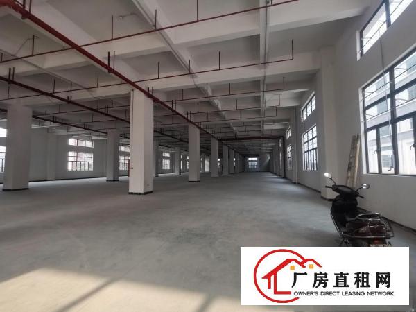  常平漂亮园区独栋现成装修厂房42000平