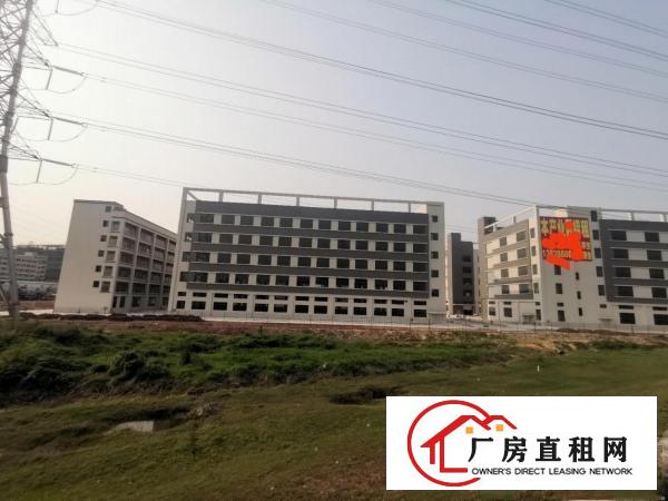  常平漂亮园区独栋现成装修厂房42000平