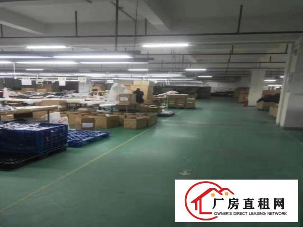  标准厂房分租2楼2000平方，办公室装修水电齐全，现成地坪漆