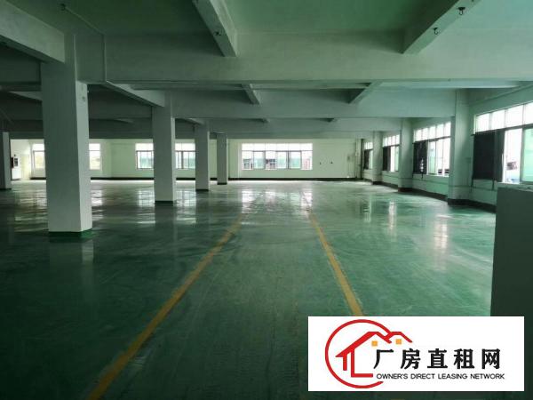  标准厂房分租2楼2000平方，办公室装修水电齐全，现成地坪漆