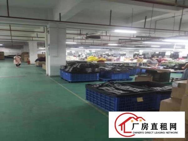  标准厂房分租2楼2000平方，办公室装修水电齐全，现成地坪漆