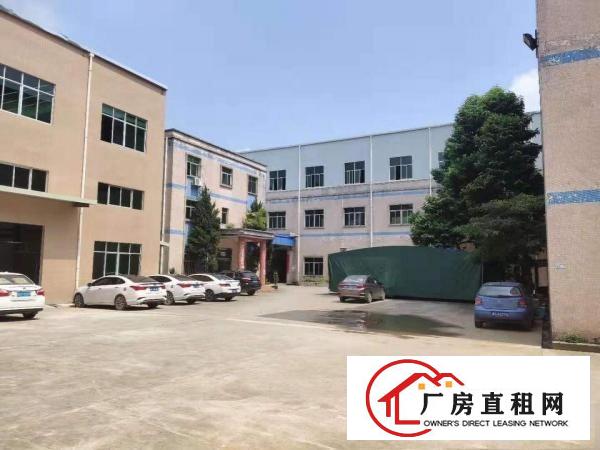  常平独院厂房出租整租分租无公摊办公室楼仓库原房东