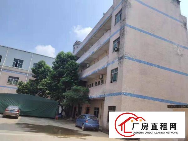  常平独院厂房出租整租分租无公摊办公室楼仓库原房东