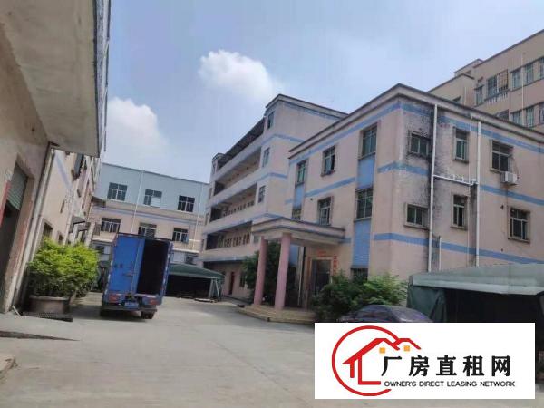  常平独院厂房出租整租分租无公摊办公室楼仓库原房东