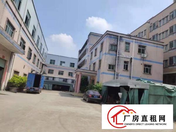  常平独院厂房出租整租分租无公摊办公室楼仓库原房东