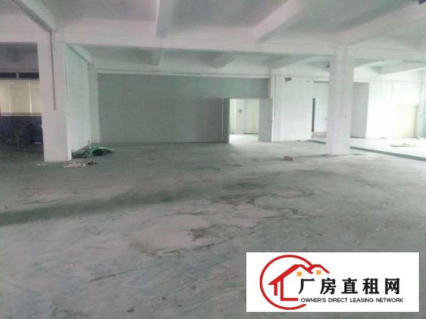  常平独院厂房出租整租分租无公摊办公室楼仓库原房东