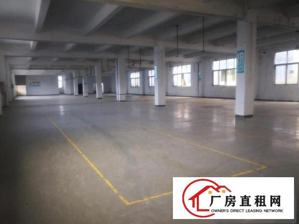  常平独院厂房出租整租分租无公摊办公室楼仓库原房东