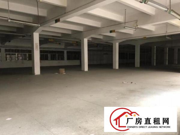  常平|新出原房东标准独院厂房6500平方米