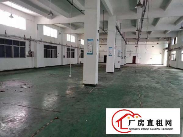  常平|新出原房东标准独院厂房6500平方米