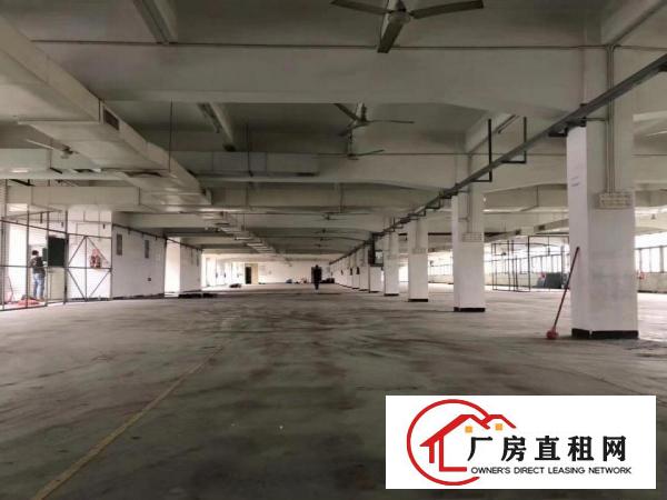  常平|新出原房东标准独院厂房6500平方米