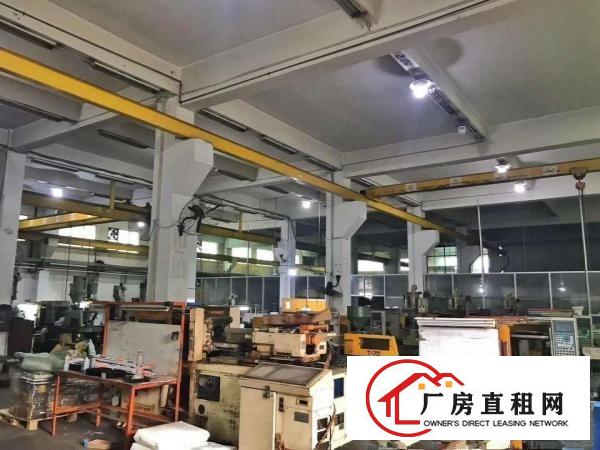  标准独院厂房3900平方，工业地可办环评，水电线路齐全