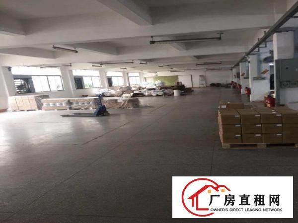  标准独院厂房3900平方，工业地可办环评，水电线路齐全