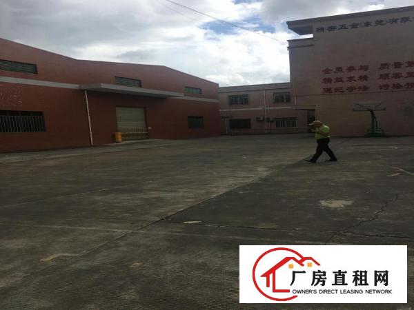  滴水9米单层厂房3400平方，带牛角，工业地，水电线路齐全