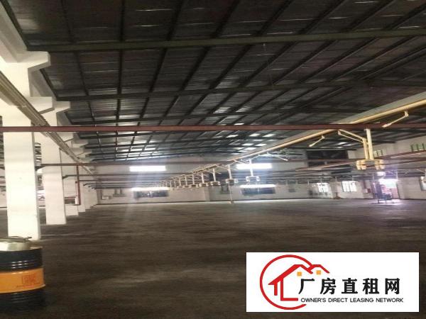  滴水9米单层厂房3400平方，带牛角，工业地，水电线路齐全