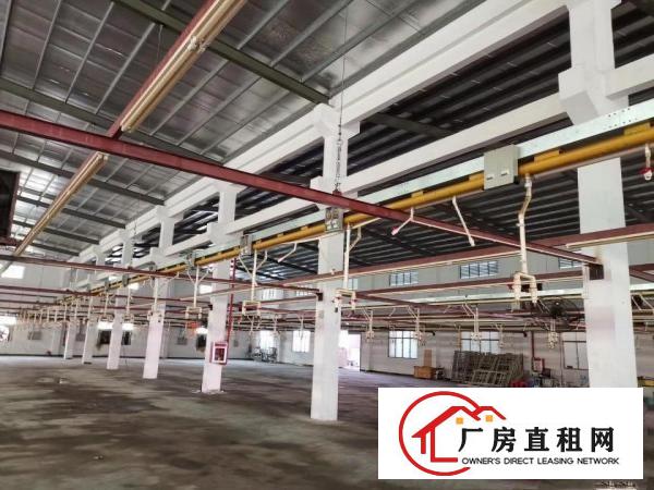  滴水9米单层厂房3400平方，带牛角，工业地，水电线路齐全