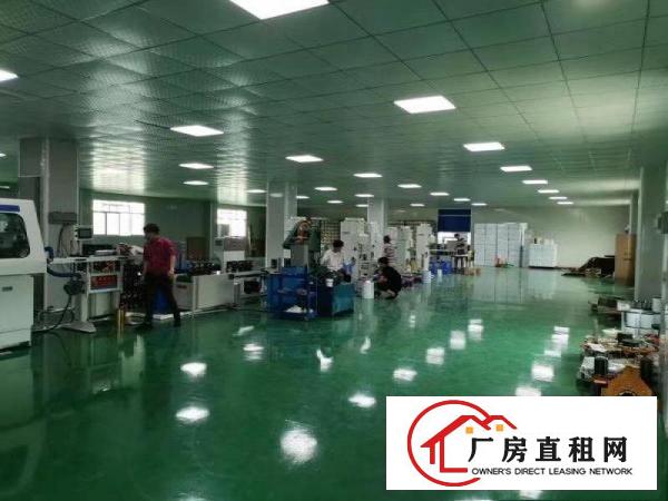  常平高速路口，租客分租一楼1000平方，有无尘车间