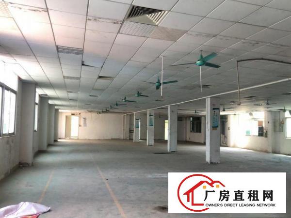  无公摊原房东常平新出原房东独门独院离高速1.2公里