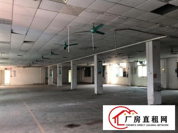  无公摊原房东常平新出原房东独门独院离高速1.2公里