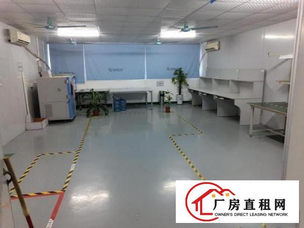  常平镇独院厂房约4600平方招租