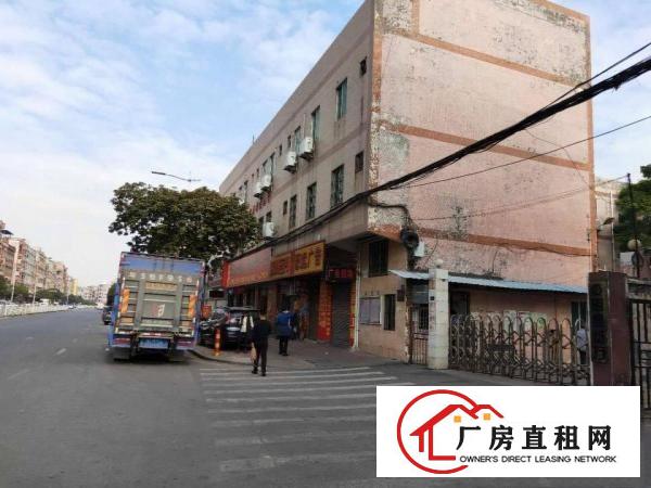  常平标准厂房出租交通方便形象靓女