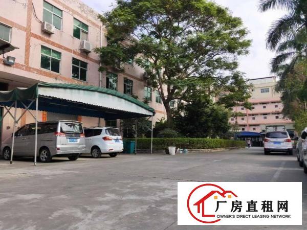 常平标准厂房出租交通方便形象靓女
