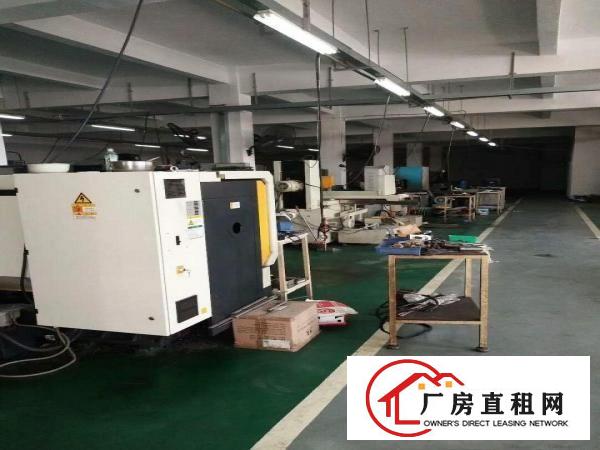  客户分租标准厂房一楼900平米高度5.5米带办公室装修水电齐