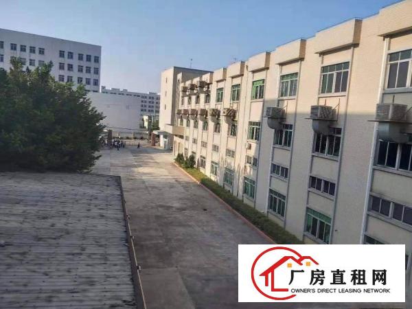  常平镇标准独院厂房约14500平方出租