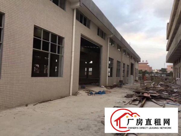  常平独院单一层厂房2900平方出租，滴水8米