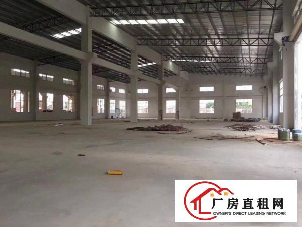  常平独院单一层厂房2900平方出租，滴水8米