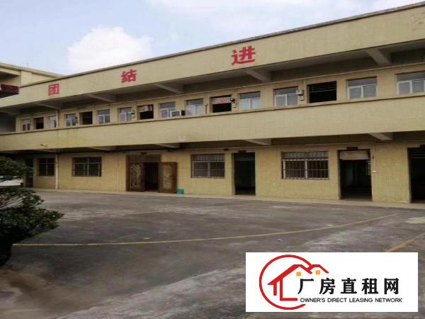  常平漱新超大空地1200平厂房出租