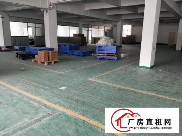  常平司马原房东新出标准厂房2000平，超大空地，环境好