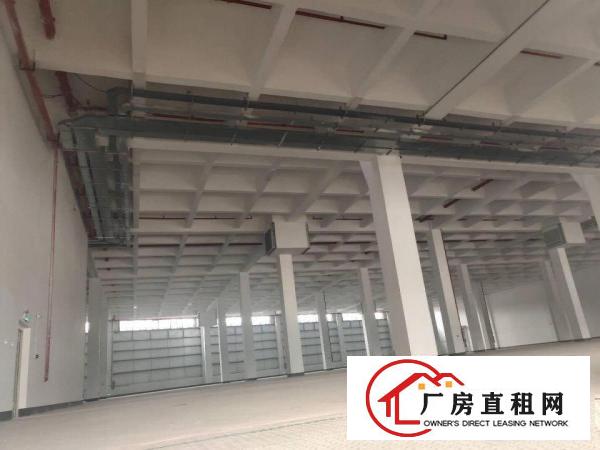  常平镇原房东全新物流园46000平出租