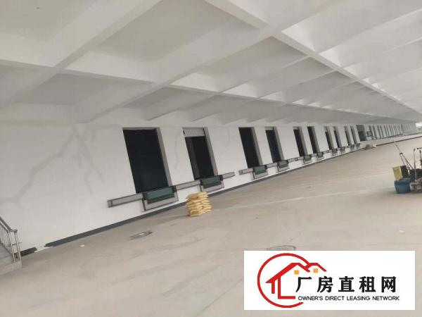  常平镇原房东全新物流园46000平出租