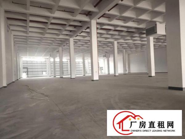 常平镇原房东全新物流园46000平出租