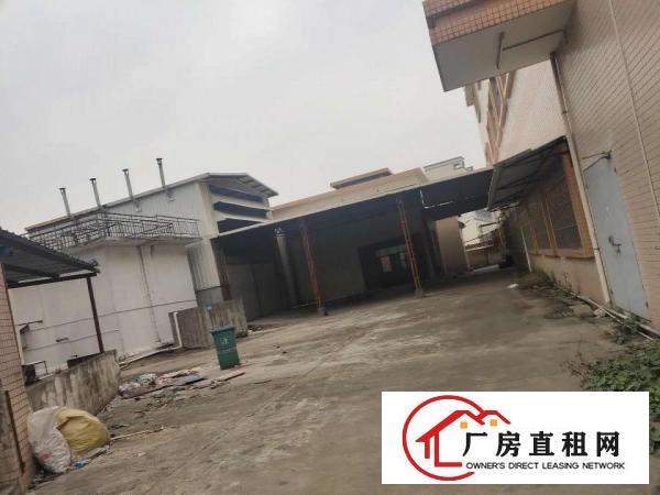  常平|常黄路独门独院厂房急租