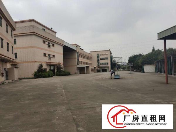  常平|常黄路独门独院厂房急租