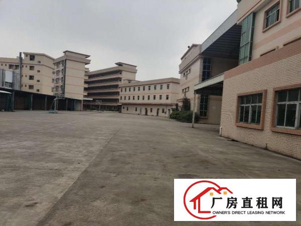  常平|常黄路独门独院厂房急租