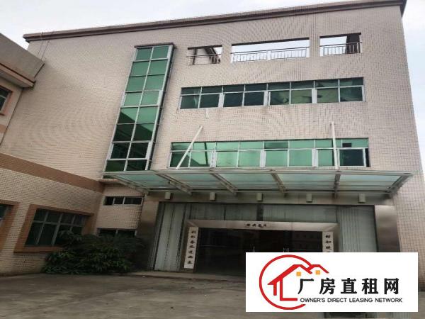  常平|常黄路独门独院厂房急租