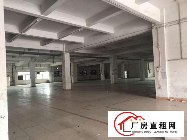  常平|常黄路独门独院厂房急租