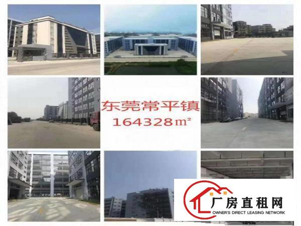  常平|国有土地园区独栋厂房164328平方厂房出租