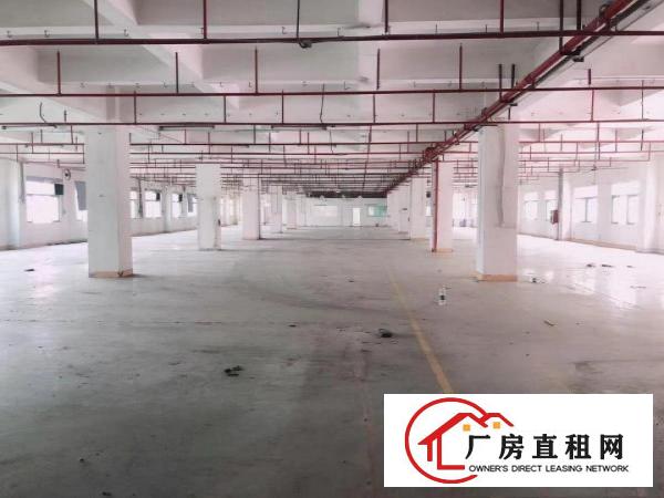  东莞常平袁山贝，新出独院厂房分租，水电齐全