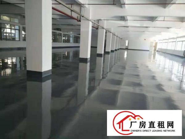  常平繁华工业区独院厂房房产证标准厂房工业用地