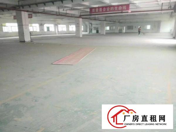  常平火车站独院厂房出租