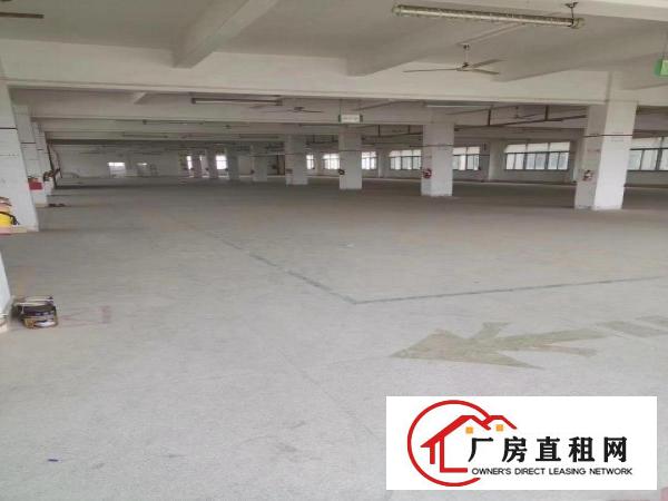  常平火车站独院厂房出租