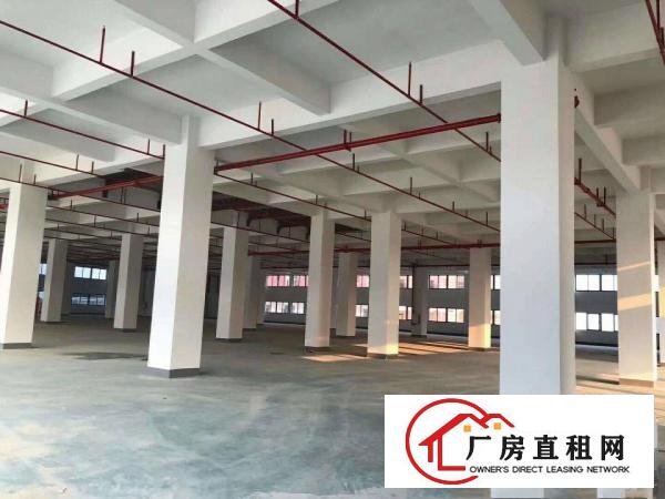  （可办环评）常平全新独院厂房招租27800平方可整租分租