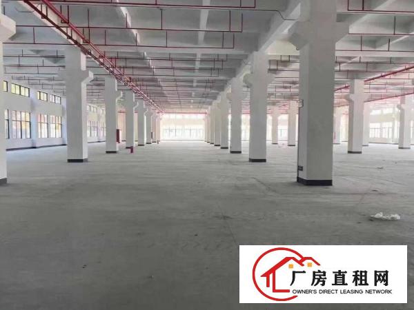  （可办环评）常平全新独院厂房招租27800平方可整租分租