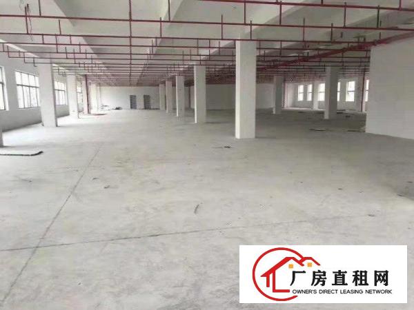  东莞厂房标准厂房超大空地精装修办公室入驻即生产便宜租