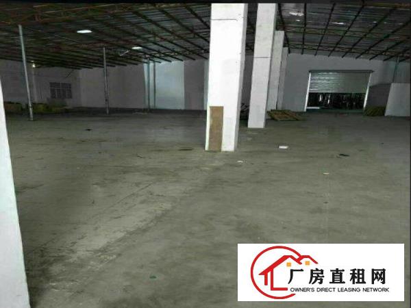 （原房东）常平桥沥7米高单一层1233平方出租