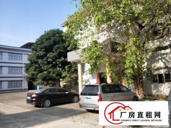  原房东，7200平花园式厂房底价直租，超大空地